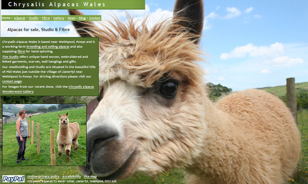 Chrysalis Alpacas