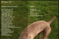 Penhaligon Pets
