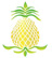 Pineapple Leisure