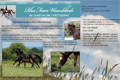 Rhos Farm Warmbloods