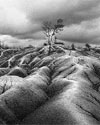 Bret Culp